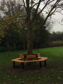 benches around a tree